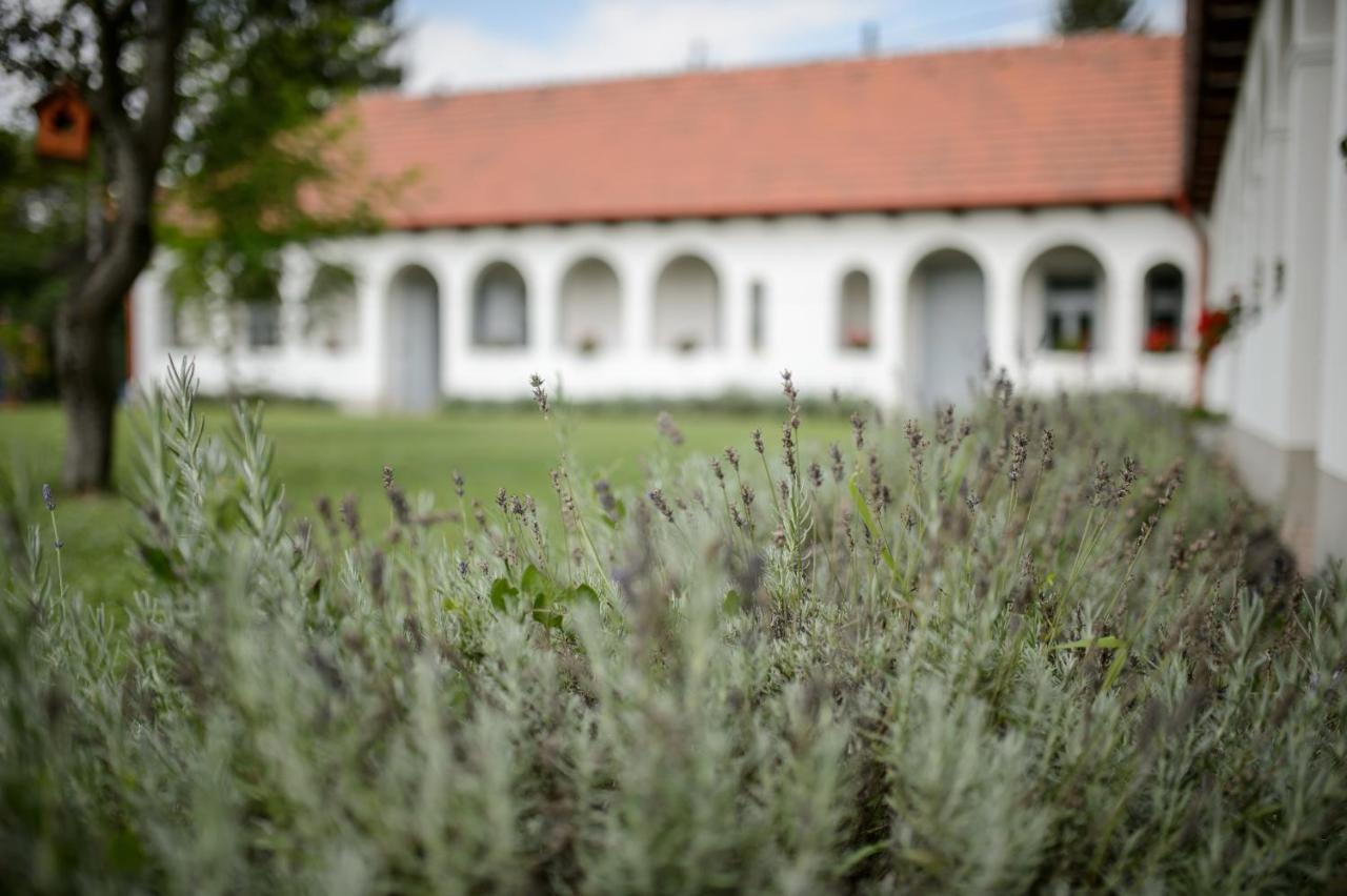 Bakta ház Egerbakta Exterior foto
