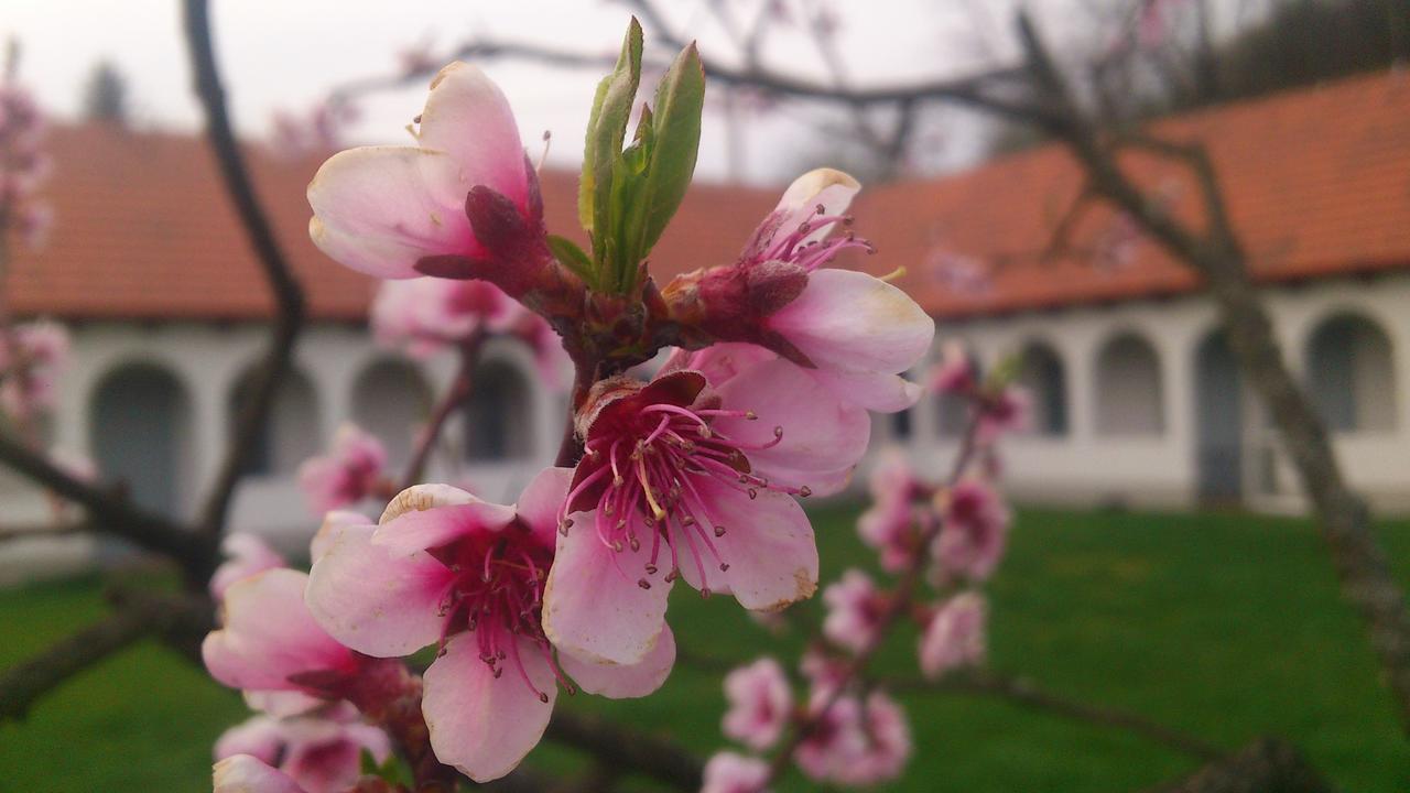 Bakta ház Egerbakta Exterior foto